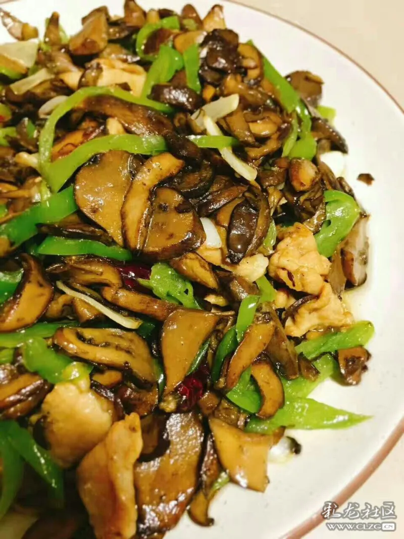 青椒牛肝菌