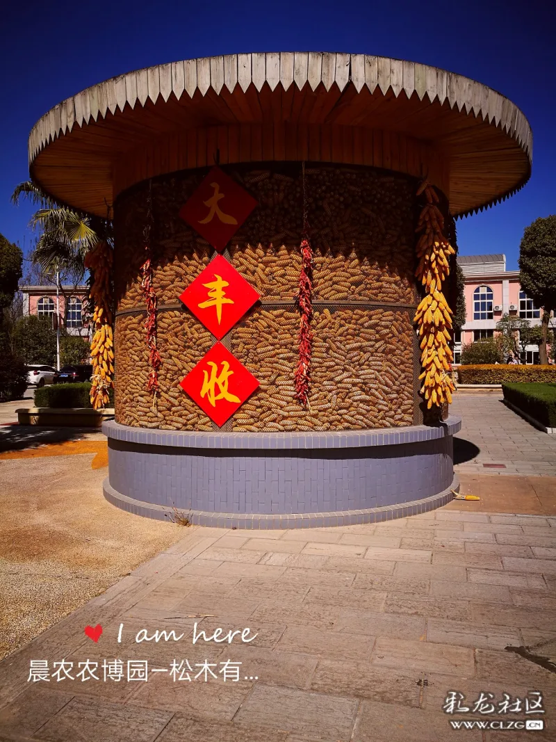 丰收粮仓堆满