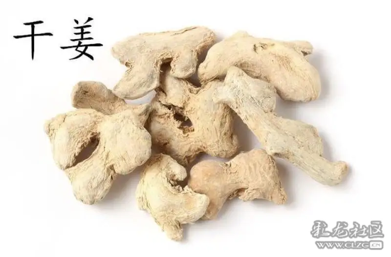 三味配合,以干姜为主,大补脾中之阳,再以木香行脾气,这就仿佛一把尖刀