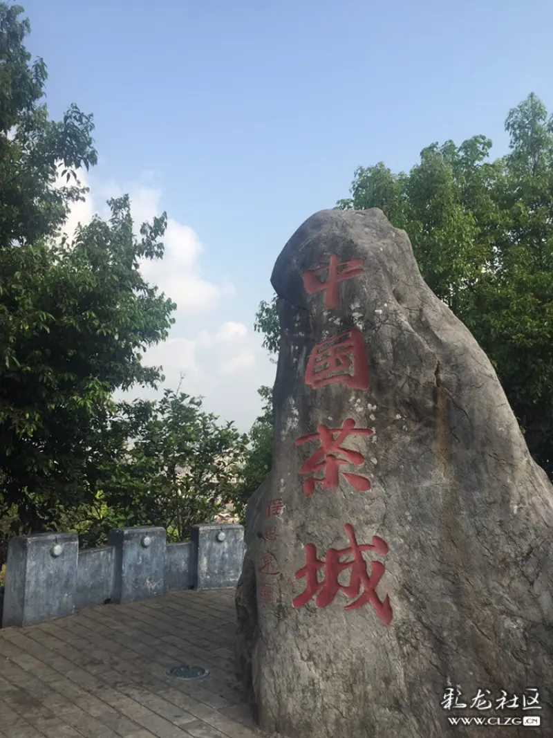 走到茶山上了.中国茶城大石头标志十分的醒目.