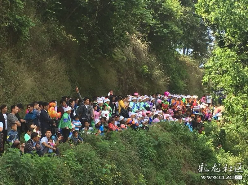 激情壮乡花街,醉美生态者兔乡演出现场!