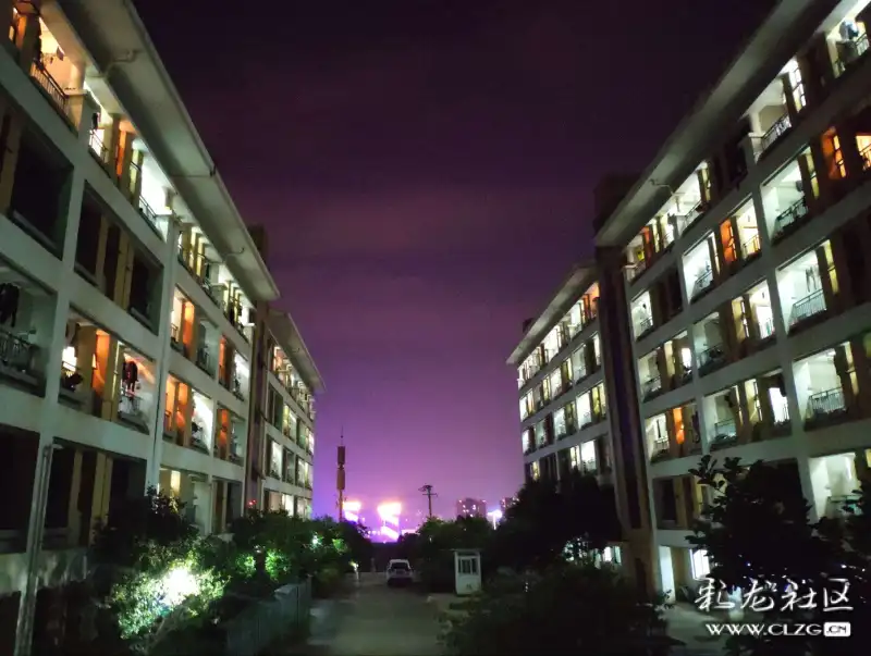 随手拍的校园夜景