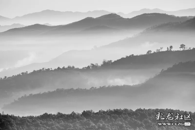 《晨韵 》:薄雾萦绕茶山,在晨光照耀下层层叠叠,好一幅美丽的山水画