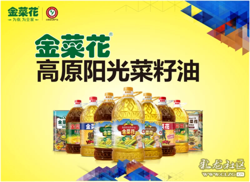 十六载磨砺,云南"金菜花"终盛开