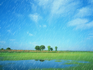 说起下雨 除了下雨堵车之外 雨后的夏天 还有在草丛中冒出的蘑菇