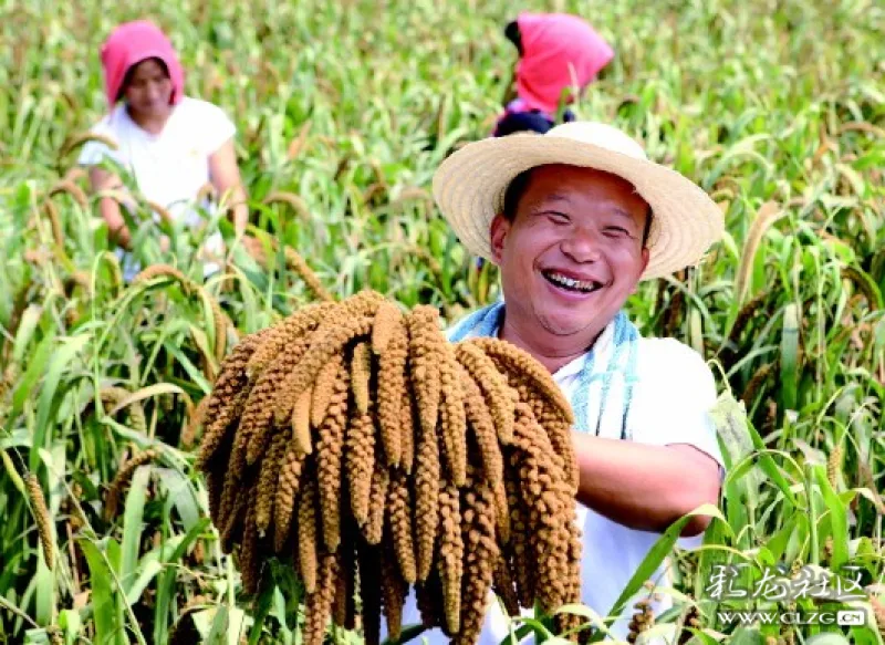 【转载】农民丰收节:有仪式感的国家符号