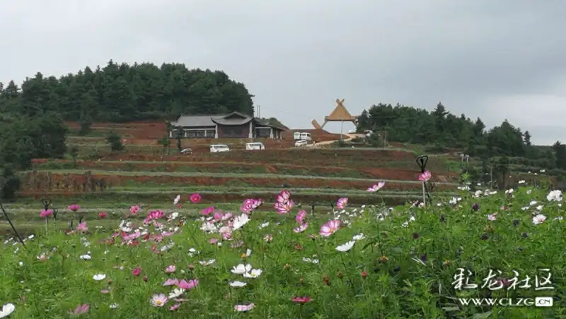 九曲花谷-彩龙社区