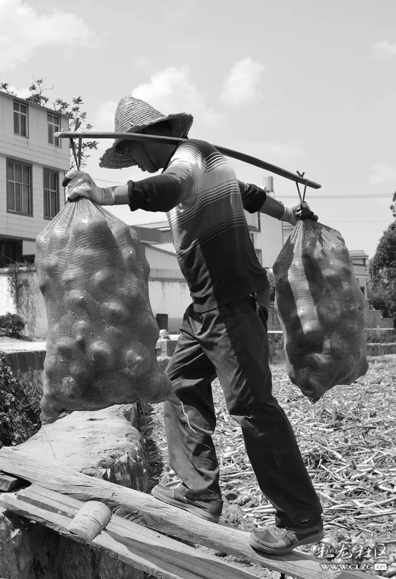 搬蜂窝煤—昆明伙子挣表现