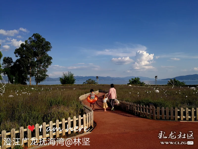 在澄江广龙抚海湾找到30年前的滇池海埂公园