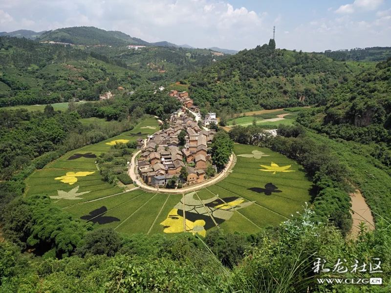 宜良耿家营马蹄湾景观稻田