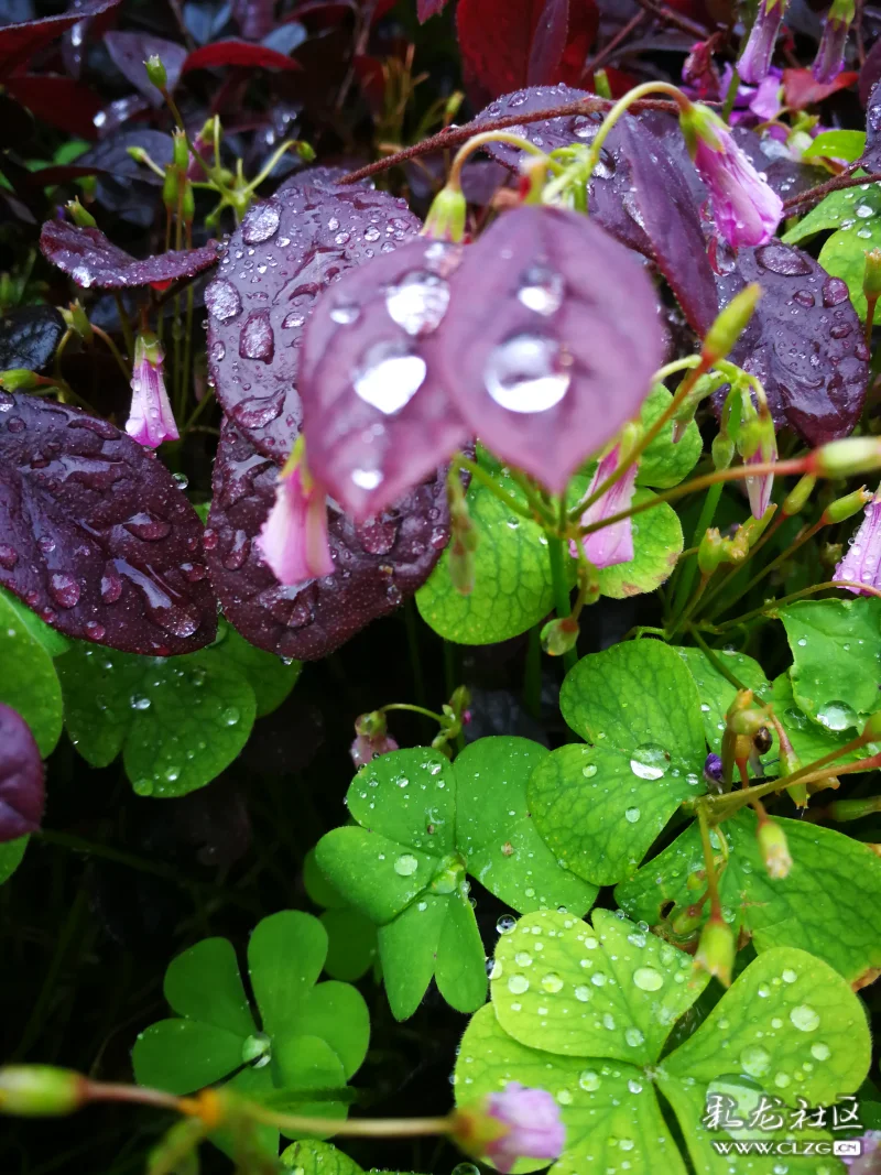 细雨绵绵亲情暖
