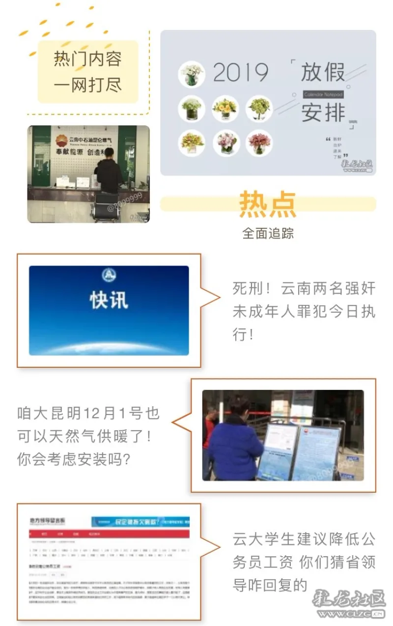 【搞笑合集】见多了红嘴鸥的大片,来看看彩龙网友们拍的表情包!
