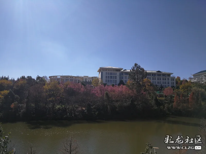 冬天的美昆明学院