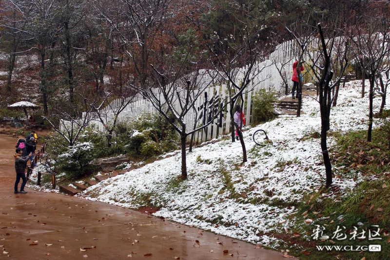 昆明黑龙潭2015年雪景