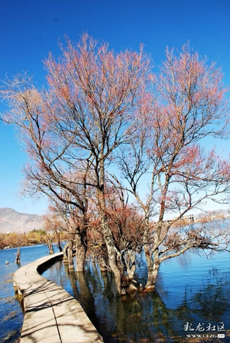 鹤庆黄龙潭
