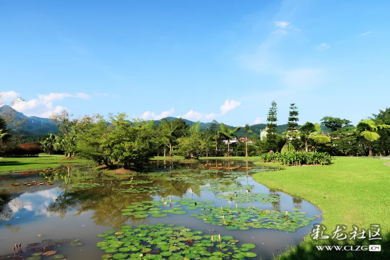 美丽的西双版纳风景