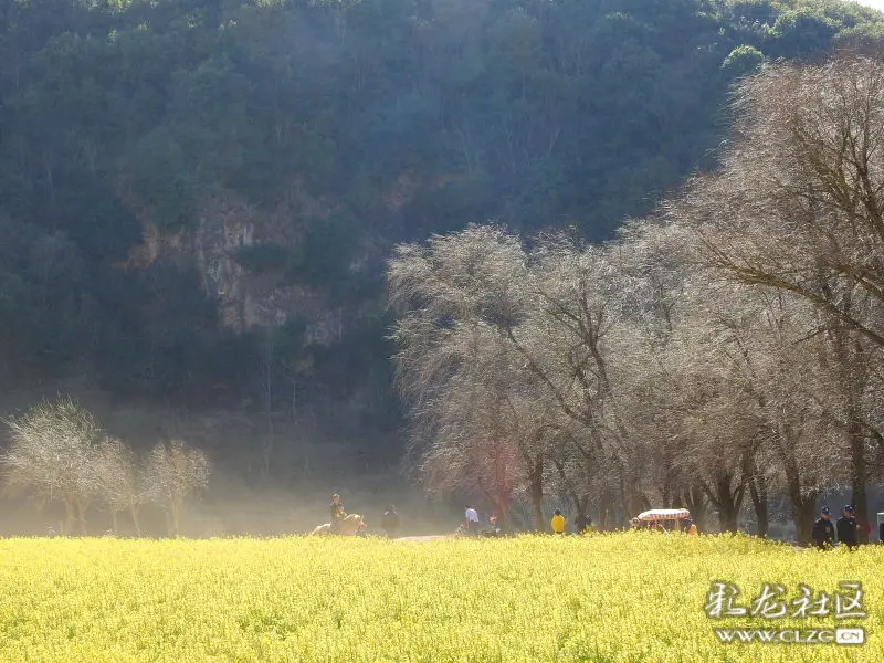 昆明安宁牧羊湖小景