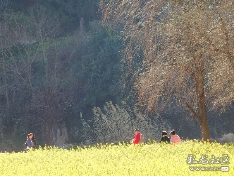 昆明安宁牧羊湖小景