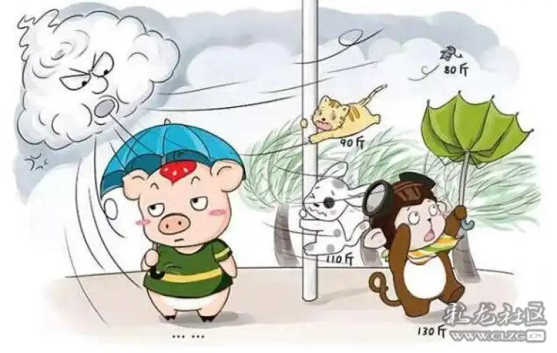 都说春天的风像妈妈的手,可最近昆明的风像后妈的手