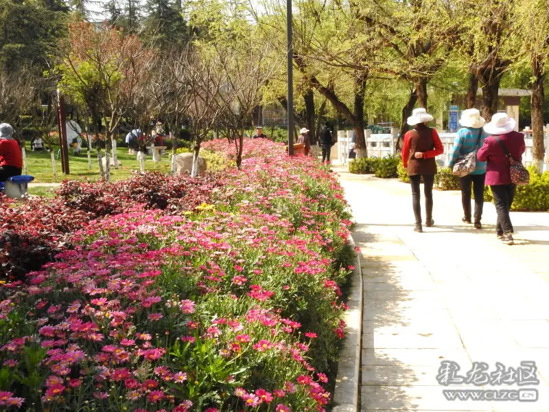 云南安宁百花山公园拾零