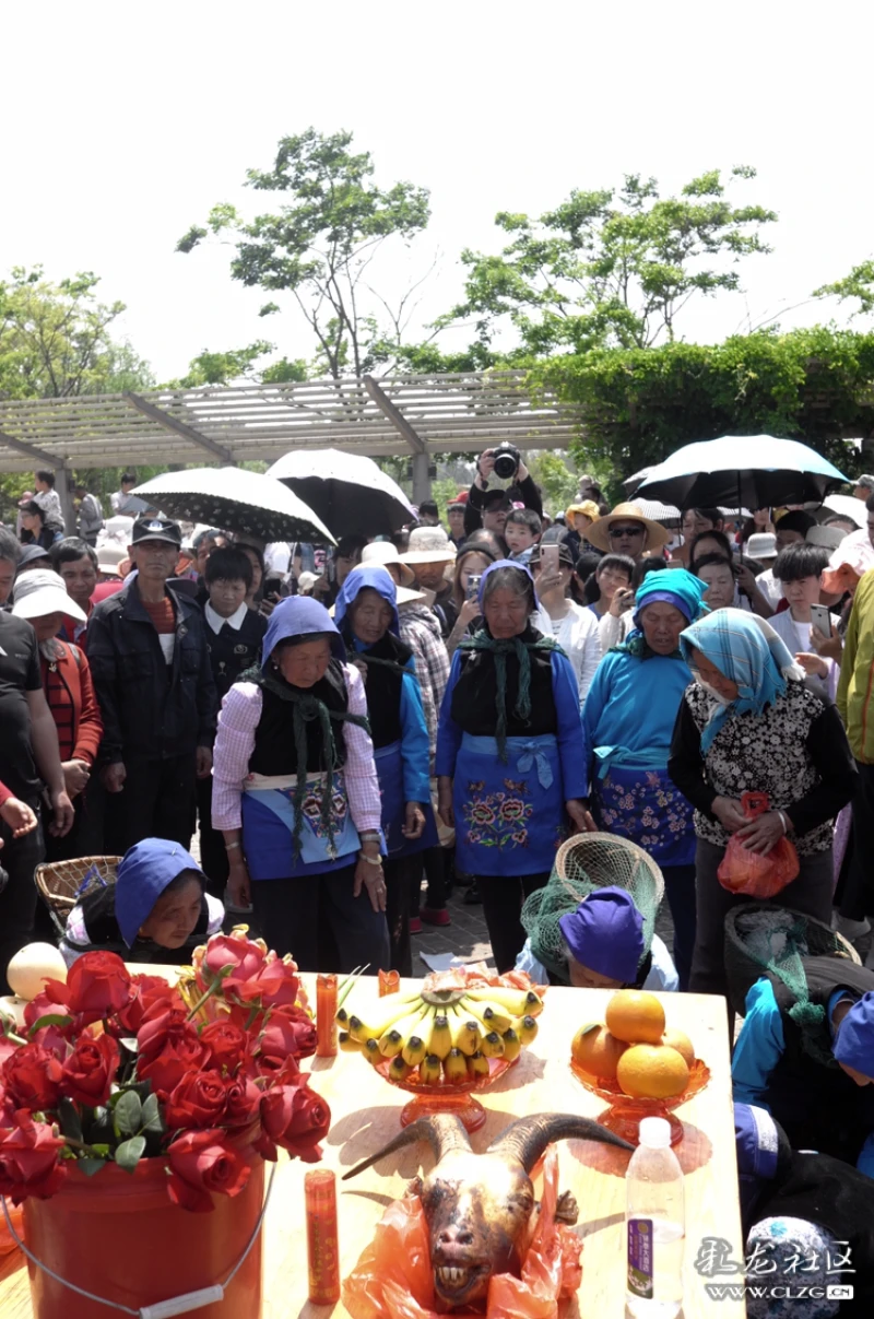 晋宁渠东村祭龙节