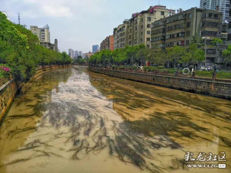 盘龙江干成黄泥河天旱无雨惹的祸