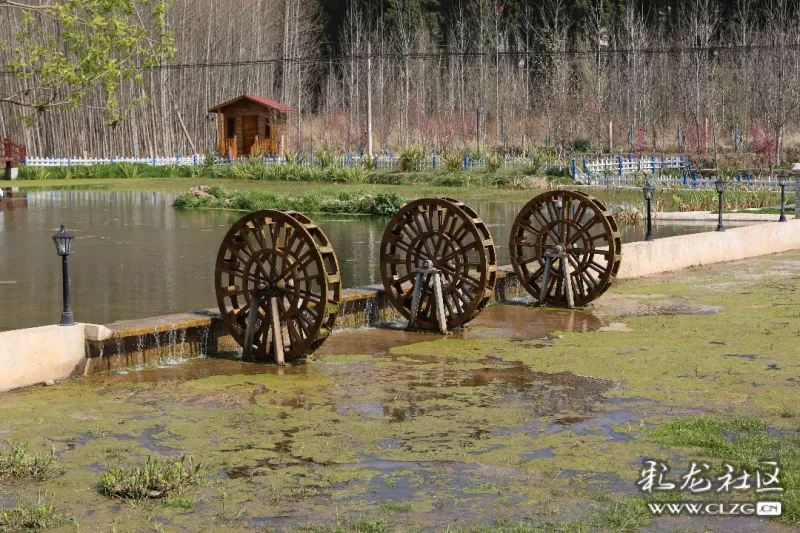 直播值得一去的乡村旅行盘龙区甸头村摇身变网红打卡地