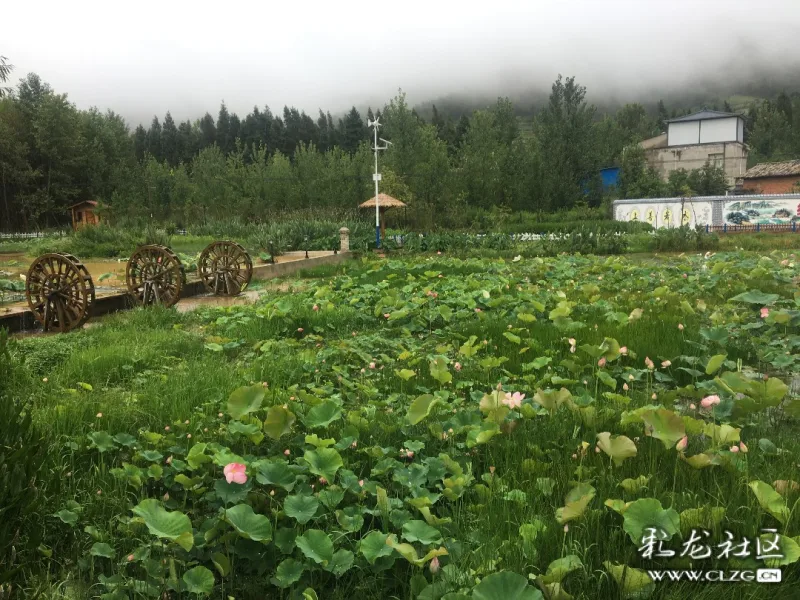 直播值得一去的乡村旅行盘龙区甸头村摇身变网红打卡地