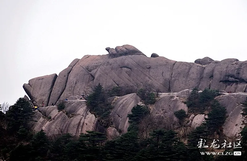 黄山鳌鱼峰形似巨大高昂的鲸首,大有气吞山河之势,位于黄山中部.