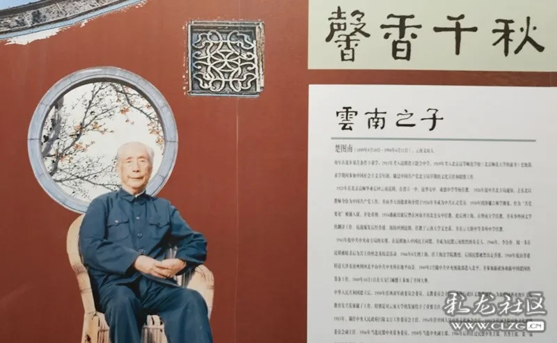 观楚图南书法展