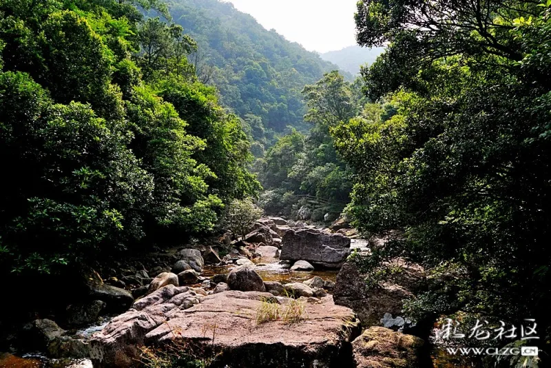 广西十万大山国家森林公园