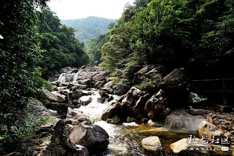 广西十万大山国家森林公园