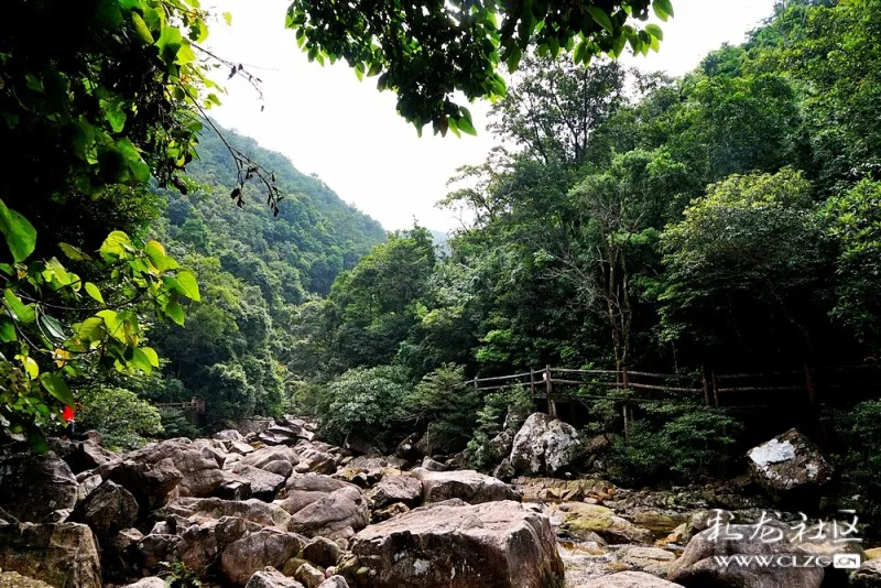 广西十万大山森林公园!