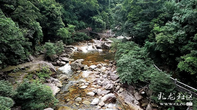 广西十万大山国家森林公园