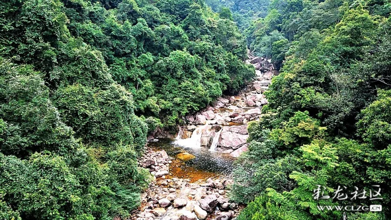 广西十万大山国家森林公园