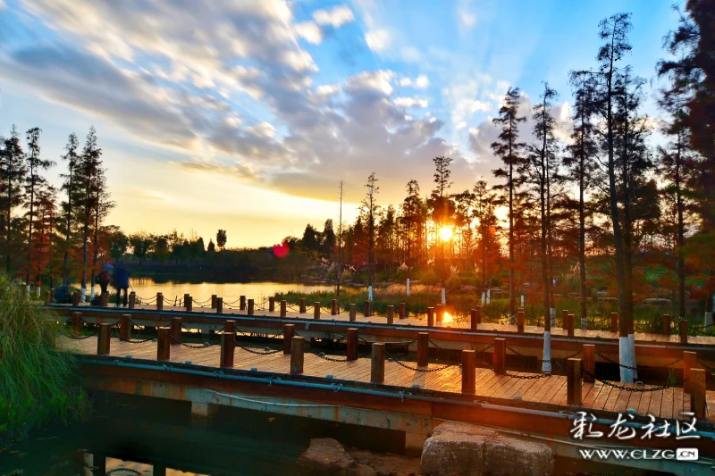 泸西—黄草洲湿地公园秋景