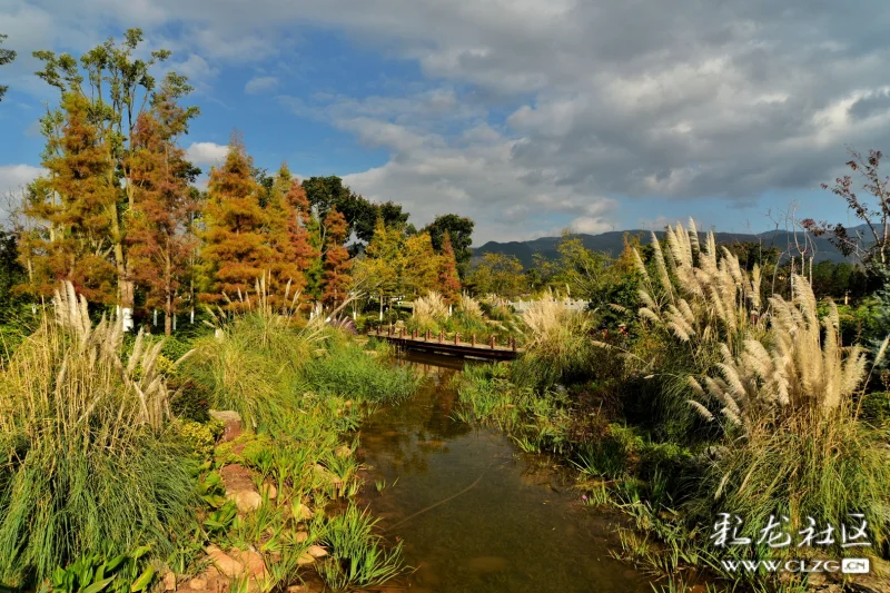 泸西—黄草洲湿地公园秋景