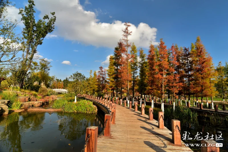 泸西—黄草洲湿地公园秋景