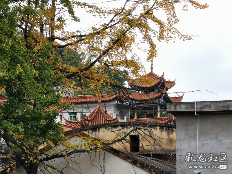 在苏家村上端,是当时的昆明市长裴存藩的私人别墅.