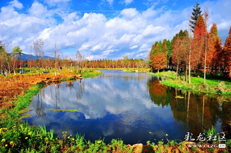 滇池岸边又新增一湿地公园海洪湿地