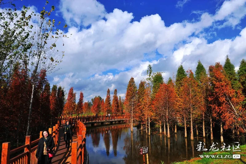 滇池岸边又新增一湿地公园海洪湿地