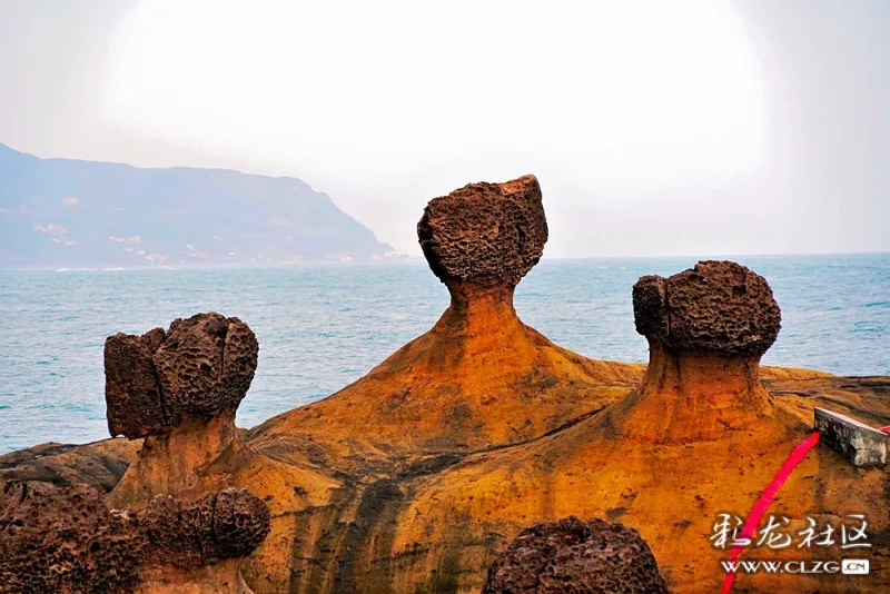 女王头——台湾旅游业的一张名片 蕈状