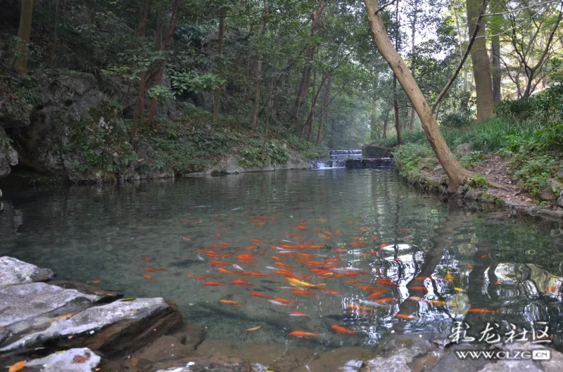 徜徉在杭州西湖西岸的灵隐寺