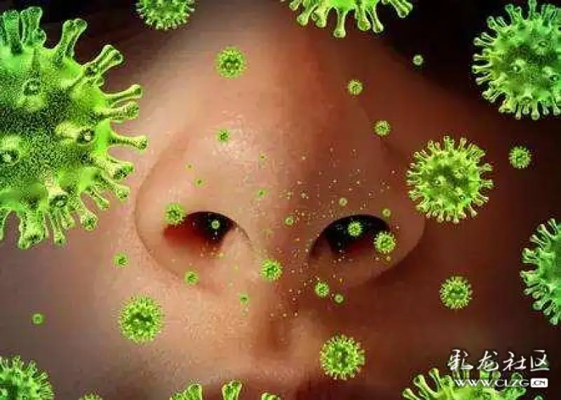 天花(small pox)是由天花病毒感染人引起的一种最古老也是死亡率最高