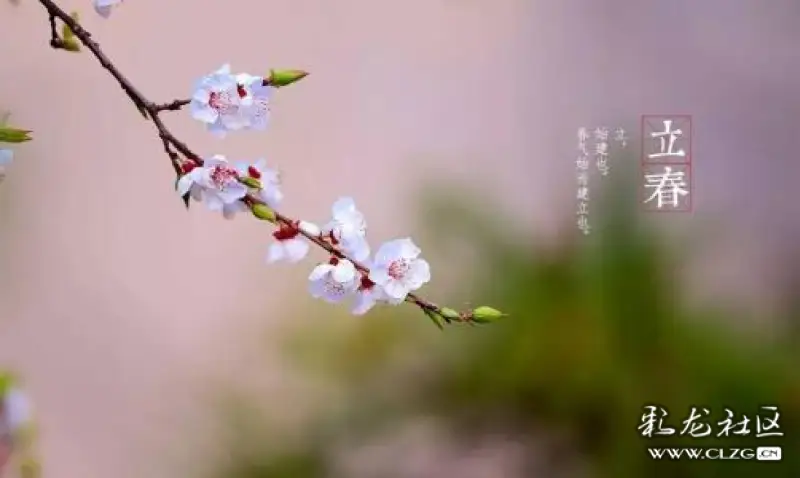 今日,立春