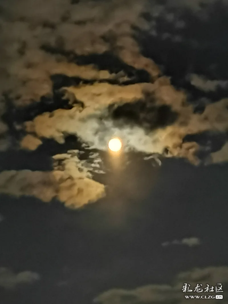 十五的月亮升上了天空