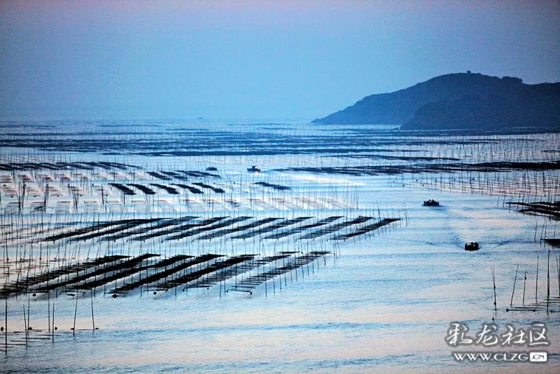 霞浦北岐滩涂观日出!