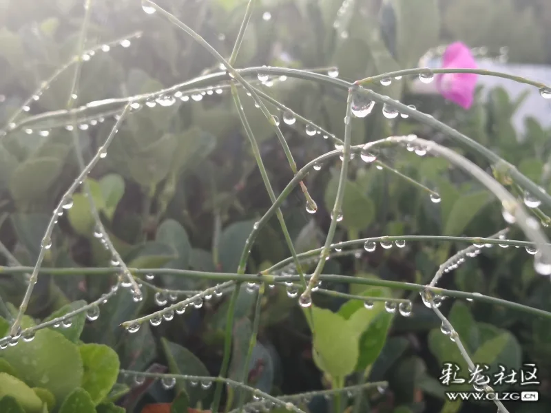 春始属木,然生木者必水也, 故立春后继之雨水. 且东风既解