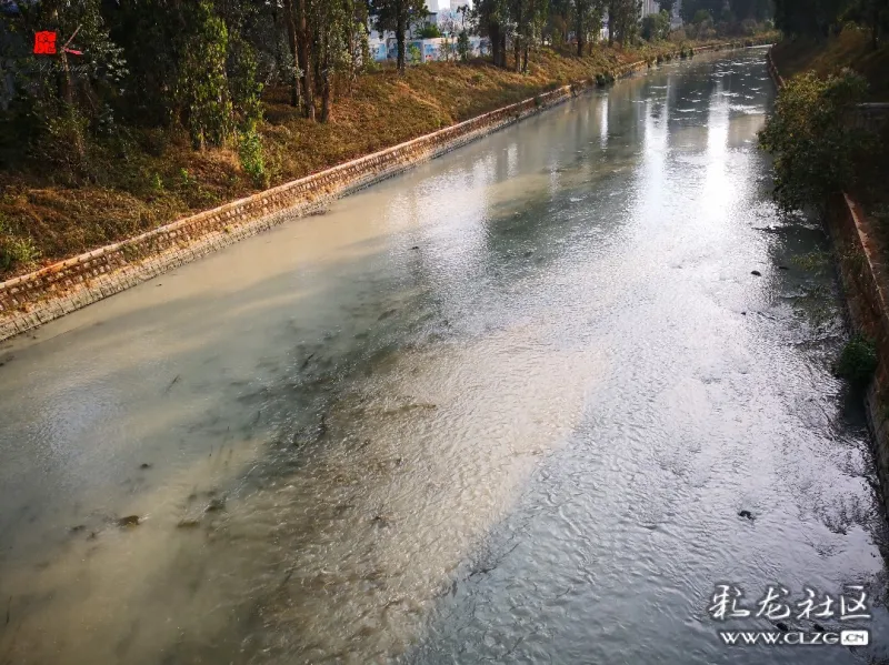 盘龙江上游水又发白,不会成一年一度的新"景观"吧?
