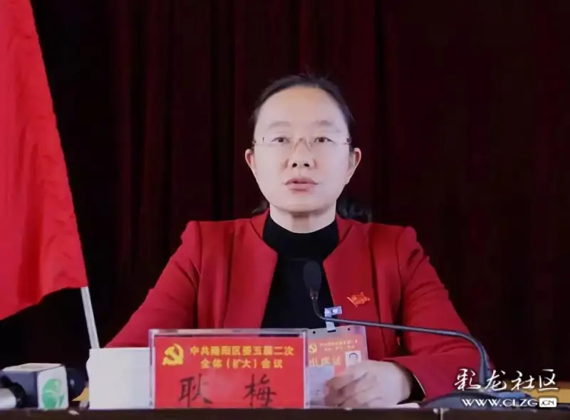 消息:云南省保山市人民政府副市长,隆阳区委书记耿梅涉嫌严重违纪违法